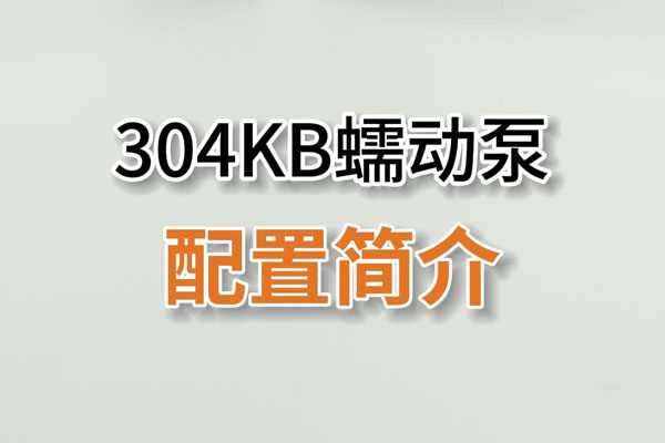 304KB蠕動(dòng)泵產(chǎn)品配置簡介