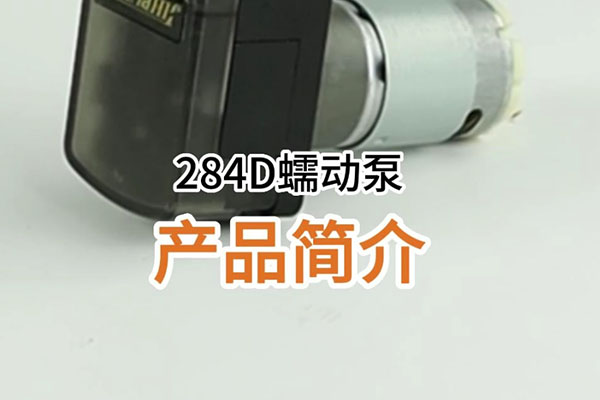 284D蠕動(dòng)泵產(chǎn)品簡介
